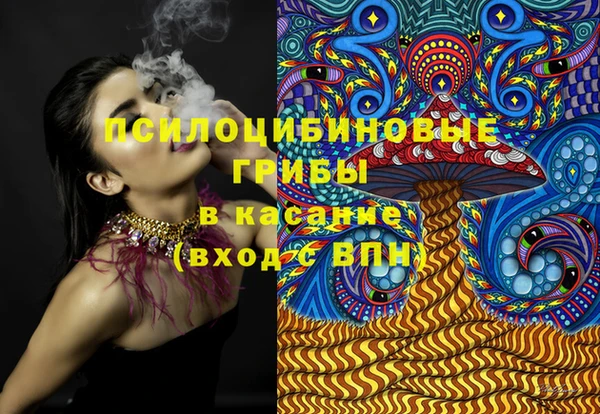 стафф Каменск-Шахтинский