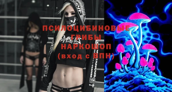 стафф Каменск-Шахтинский