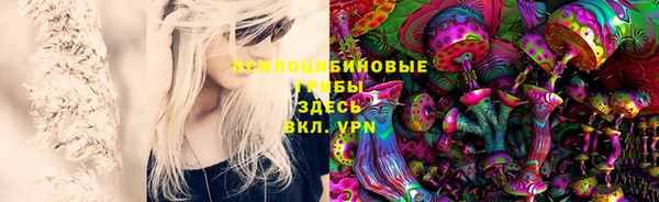 кокаин перу Каменногорск