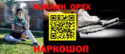прущие грибы Новодвинск