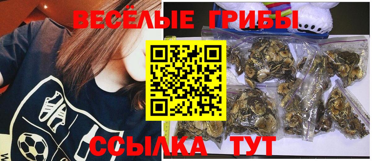 Галлюциногенные грибы Psilocybe  Галлюциногенные грибы Magic Shrooms  Вход с VPN  Вологда 