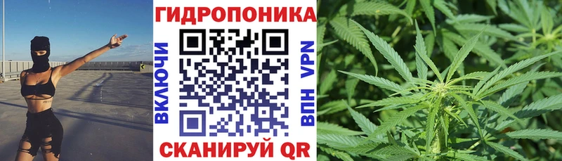 blacksprut вход  где найти   Вологда  Марихуана гибрид 
